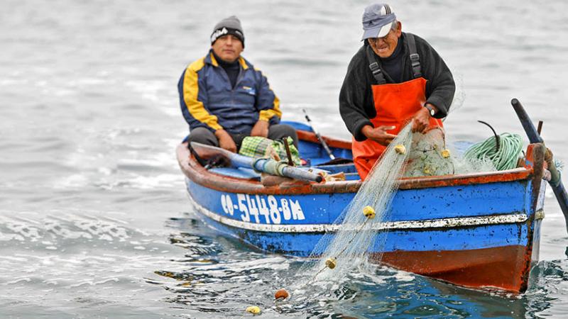 Bono de S/500 para pescadores : ¿cuándo y cómo lo entregarán?
