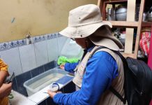 Piura: presentan comité de salud para controlar el incremento de casos de dengue