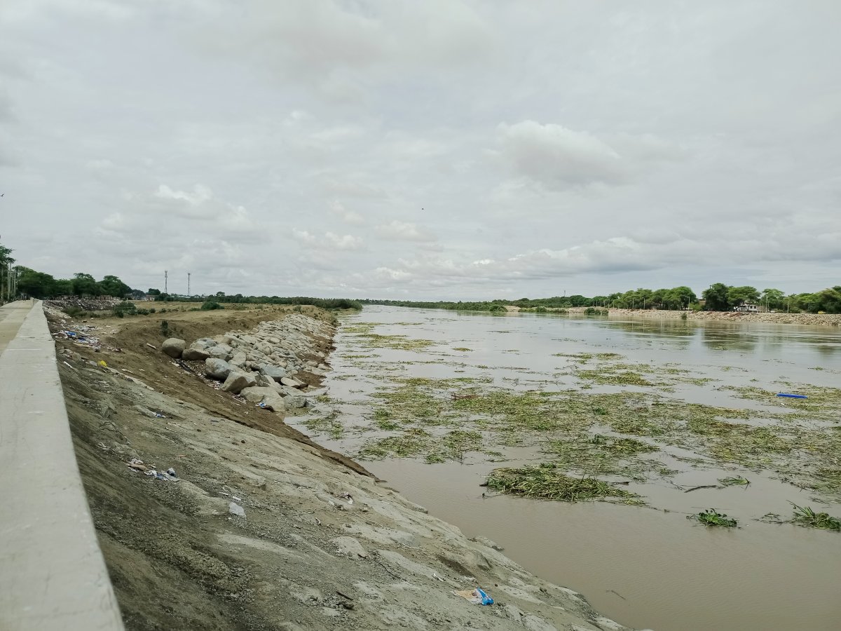 El titular del CIP, Hermer Alzamora detalló que dicho dique ocasiona el estrangulamiento del cauce del río Piura. 