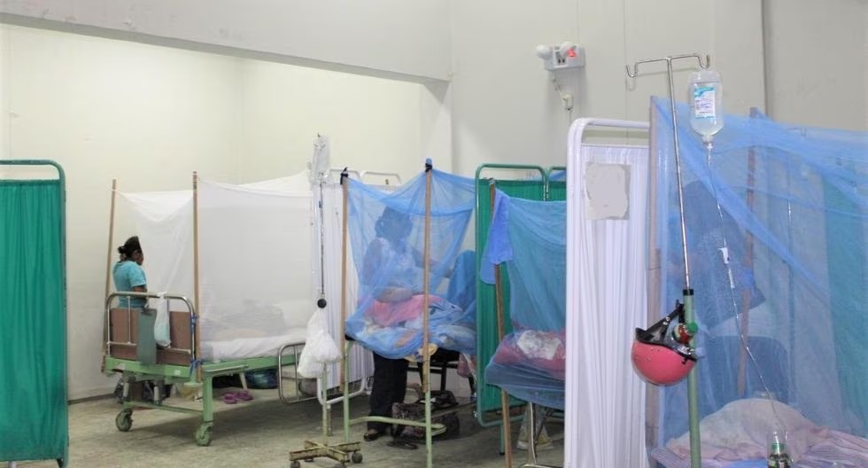 Minsa propone ampliar emergencia sanitaria por dengue en 20 regiones del país.