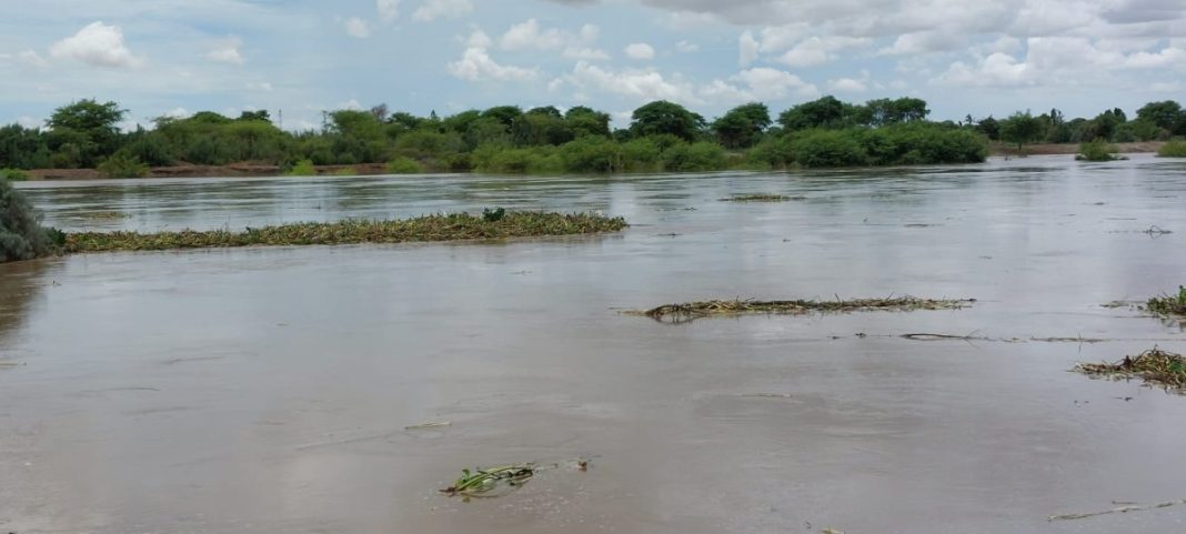 Pobladores del Bajo Piura temen volver a vivir un desborde del río 