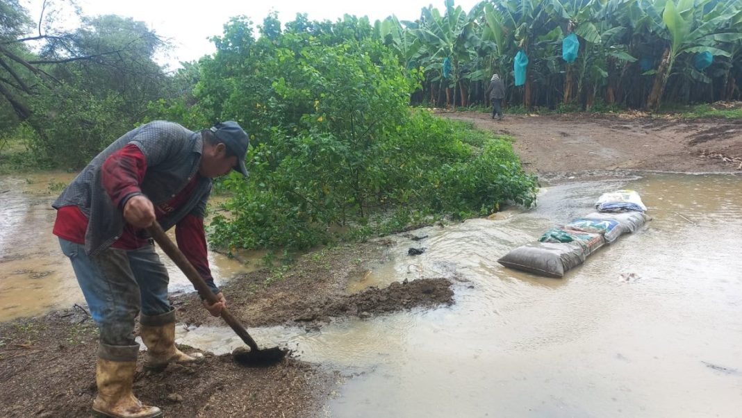 Más de 142 mil productores piuranos que son afectados por las lluvias necesitan de bono agrario.