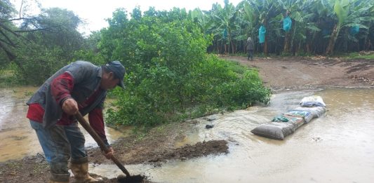 Más de 142 mil productores piuranos que son afectados por las lluvias necesitan de bono agrario.