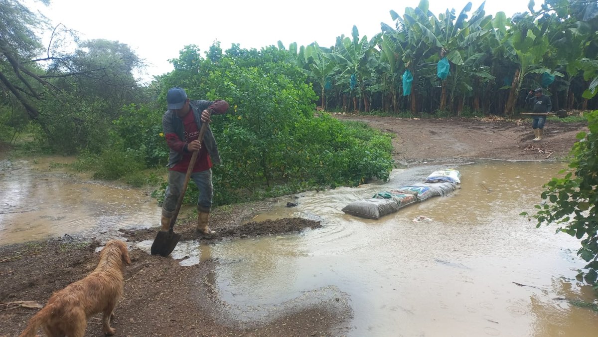El SAC es un seguro gratuito financiado al 100% por el Gobierno para agricultores que resultaron afectados por las lluvias y huaicos.