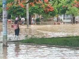 Vecinos de La Primavera temen inundación de sus viviendas ante cuencas ciegas