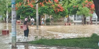 Vecinos de La Primavera temen inundación de sus viviendas ante cuencas ciegas