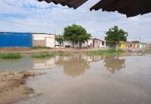 Entregarán hidrojets a Piura para atender emergencias en redes de alcantarillado debido a lluvias.