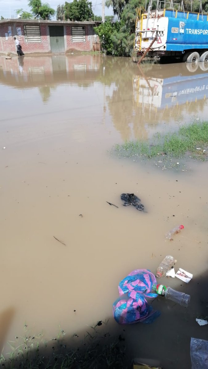 Lluvias en Piura: salud de menores en riesgo por inundación en el sector Los Polvorines. / Foto cortesía.