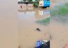 Lluvias en Piura: salud de menores en riesgo por inundación en el sector Los Polvorines. / Foto cortesía.
