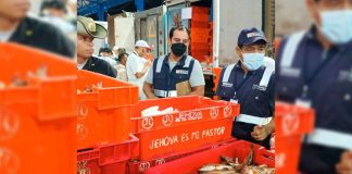 Piura: decomisan media tonelada de cabrilla en el terminal pesquero José Olaya. / Foto difusión.