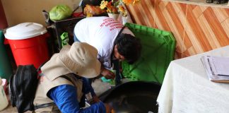 Sullana: Realizarán campaña de recojo de criaderos de mosquitos en 40 mil viviendas y colegios
