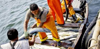 Bono del Pescador: más de 1,700 pescadores son incorporados en la lista de beneficiados. / Foto: TV Perú.