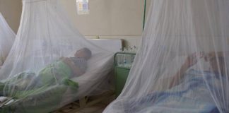 Dengue en Piura: farmacias piuranas se quedan sin suero ante aumento de casos