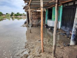 Más de 10 mil viviendas de la provincia de Piura resultaron afectadas por las lluvias. / Foto: difusión.