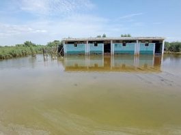 Sechura: más de 100 familias de Chutuque temen un nuevo desborde del río. / Foto: Walac Noticias / David Tejada.