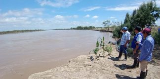 Río Piura amenaza dique de contención en Chato Chico. / Foto: Walac Noticias / David Tejada.