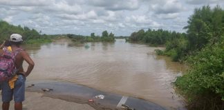 Más de 11 mil hectáreas de cultivos se inundaron tras desborde del río Chira.