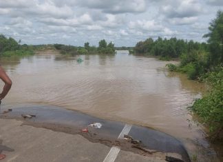 Más de 11 mil hectáreas de cultivos se inundaron tras desborde del río Chira.