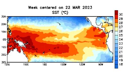 La probabilidad de ocurrencia de un Fenómeno El Niño global supera el 80% según NOAA.