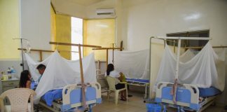 Dengue en Piura: anuncian presupuesto de 400 mil soles para enfrentar enfermedad 
