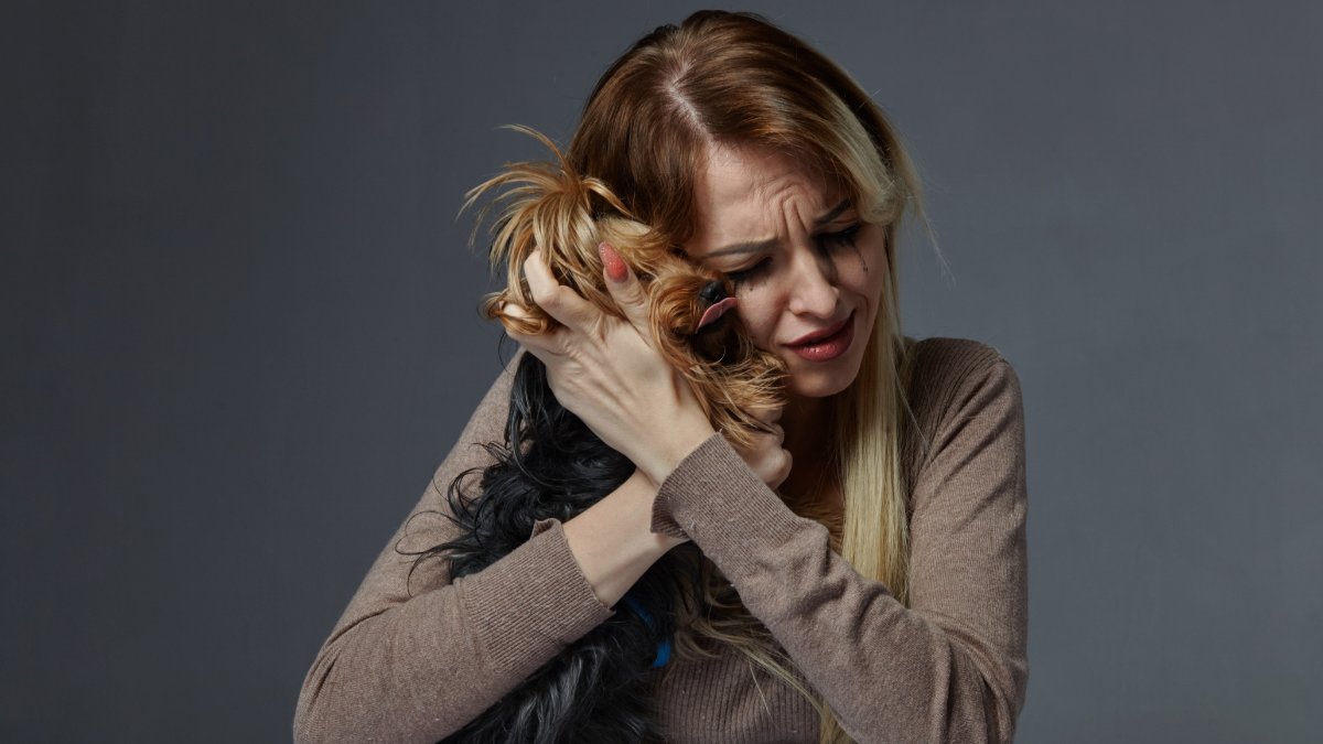Conoce cómo le afecta tu estrés a tu perro