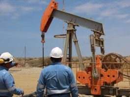 Talara: Perúpetro abrirá este 18 de mayo licitación de lotes petroleros