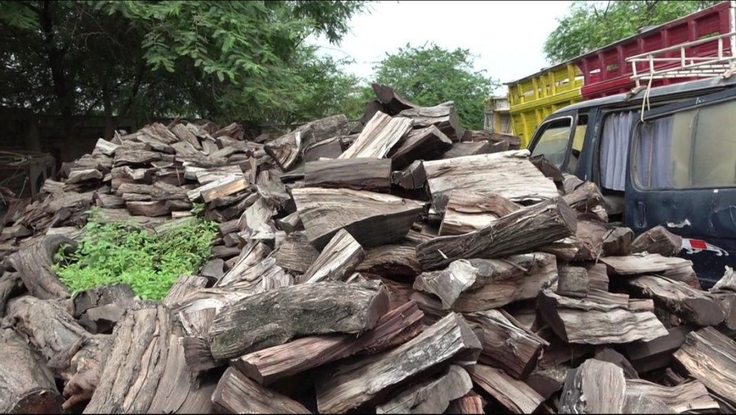 Tambogrande: entregarán 1000 palos de leña de algarrobo a comedores populares
