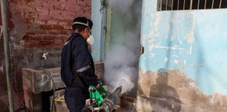 Dengue en Piura: fumigan más de 250 locales públicos para hacer frente a la enfermedad