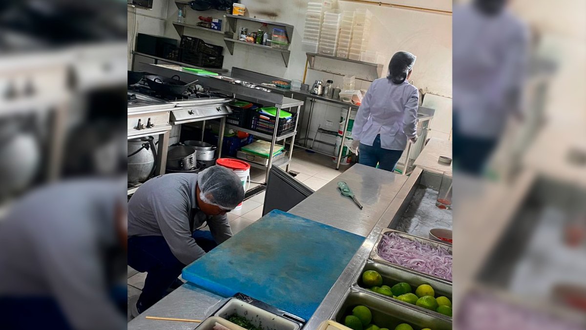 Clausuran restaurante Tayanti tras encontrar cucarachas, hongos y comida malograda en su cocina