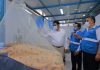 Hospitales de EsSalud al tope por casos de pacientes con dengue.