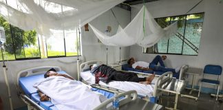 Dengue en Piura: temperaturas por encima de lo normal favoce la permanencia de la enfermedad.