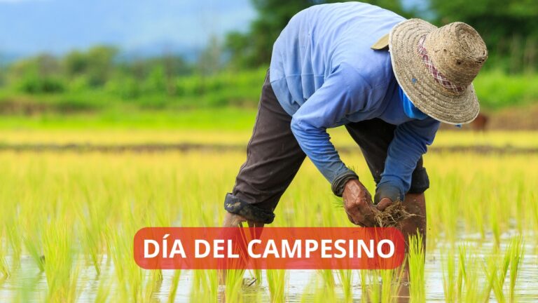 Día del Campesino en Perú: ¿por qué se celebra cada 24 de junio?