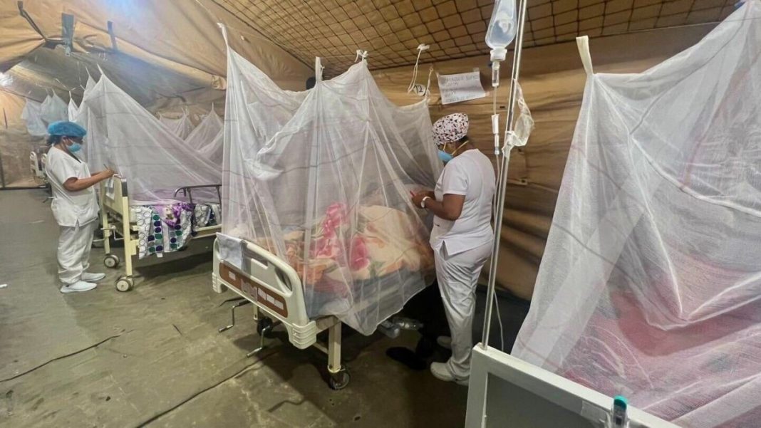 A 17 aumenta los muertos por dengue en la región Piura. Foto: Difusión.