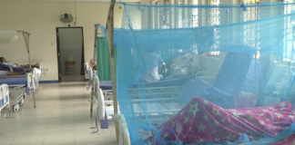 Dengue en Piura: cifra de fallecidos se eleva a 92 y más de 45 mil contagios.