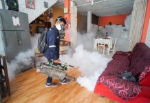 Dengue: más de 150 mil viviendas serán fumigadas en Chulucanas, Sullana y Piura