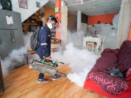 Dengue: más de 150 mil viviendas serán fumigadas en Chulucanas, Sullana y Piura