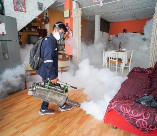 Dengue: más de 150 mil viviendas serán fumigadas en Chulucanas, Sullana y Piura