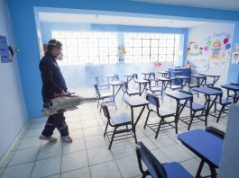 Dengue en Piura: DRE reporta que al menos 29 mil estudiantes se contagiaron de la enfermedad.