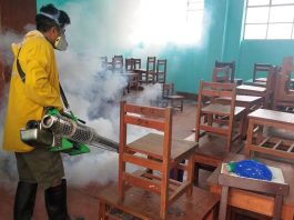 Tambogrande: este 9 y 10 de junio fumigarán colegios para enfrentar el dengue