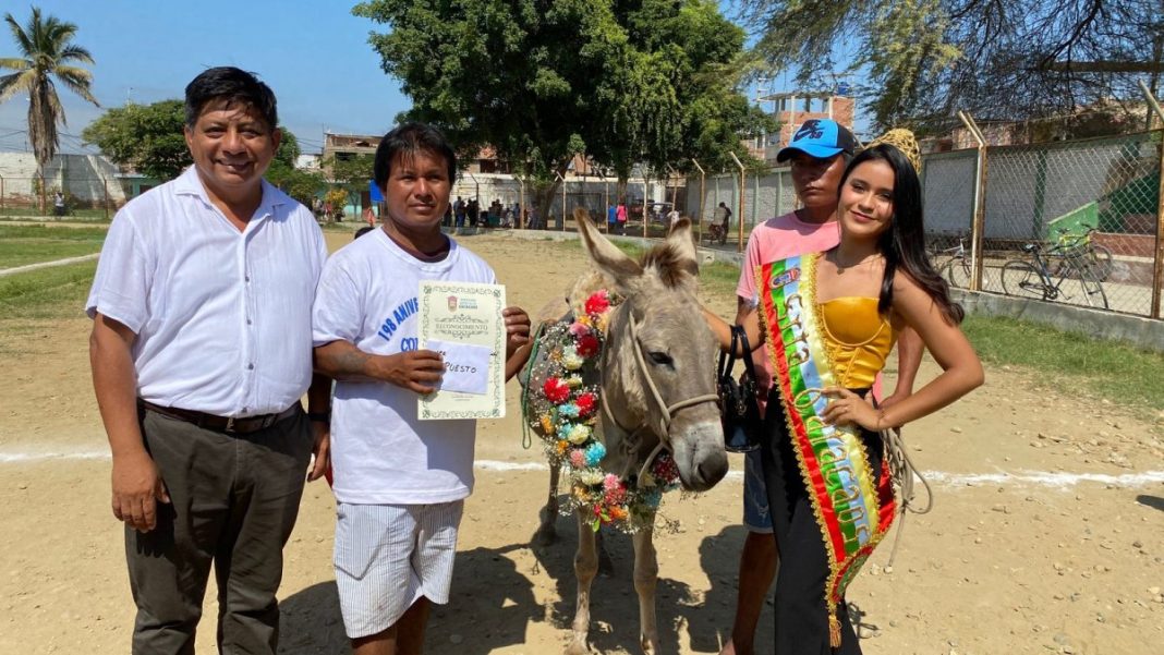 La burrita “Mariposa”, fue la ganadora de la carrera de burros por el 198 aniversario de Catacaos.
