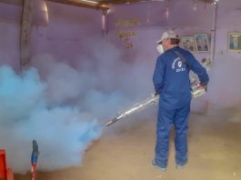 La Unión: fumigan más de 15 mil viviendas para enfrentar el dengue