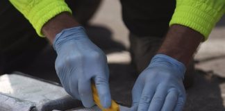 Paita: incautan nuevo cargamento de 50 kilos de cocaína camuflada en contenedor