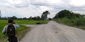 Municipio de Piura intervendrá diez caminos vecinales afectados por las intensas lluvias.