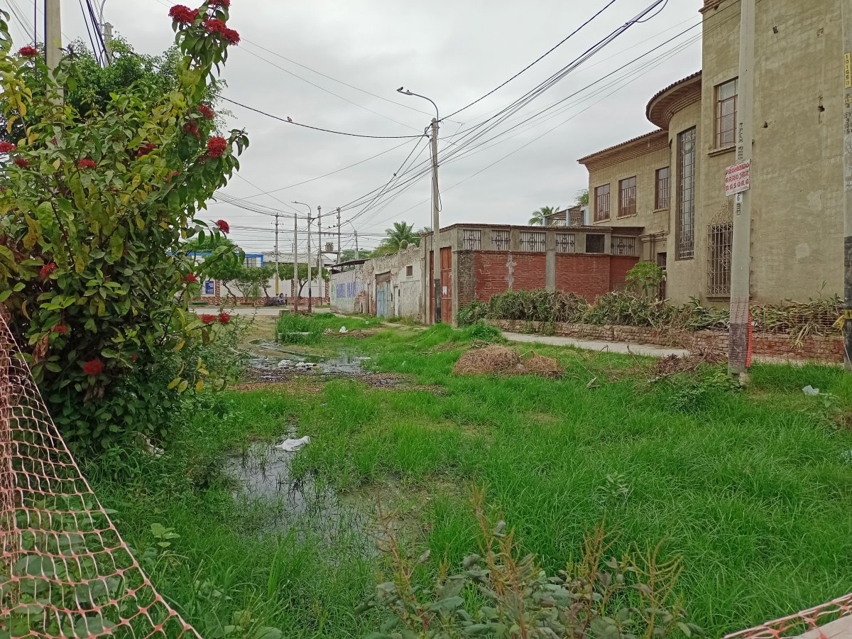 Vecinos de la Urb. Miraflores viven desde hace 4 meses con el afloramiento de desagües.