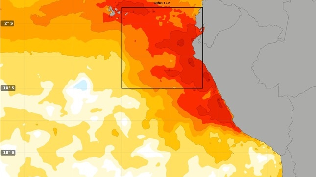 Persistirían el Niño costero y Niño en el Pacífico central hasta el próximo verano.