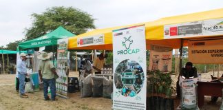 Tambogrande: realizarán la I Feria Empresarial para formalizar a emprendedores