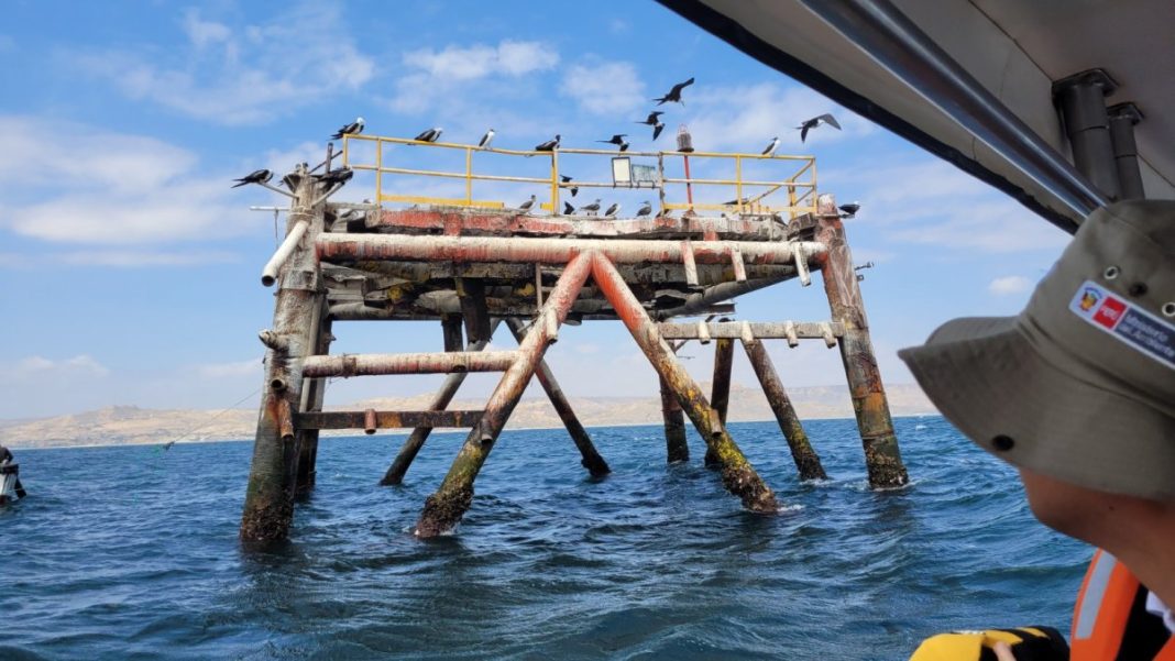 Plataforma MX1: futuro de arrecife artificial en Los Órganos en incertidumbre.
