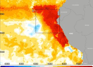 Fenómeno El Niño: Temperatura Superficial del Mar alcanzó en julio los mayores valores del 2023.