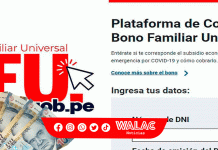 Bono Familiar Universal 2023