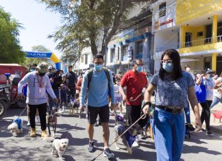 Patitas SOS Piura: convoca a la comunidad para ''Caninatón 3K'' en apoyo a los animales sin hogar.